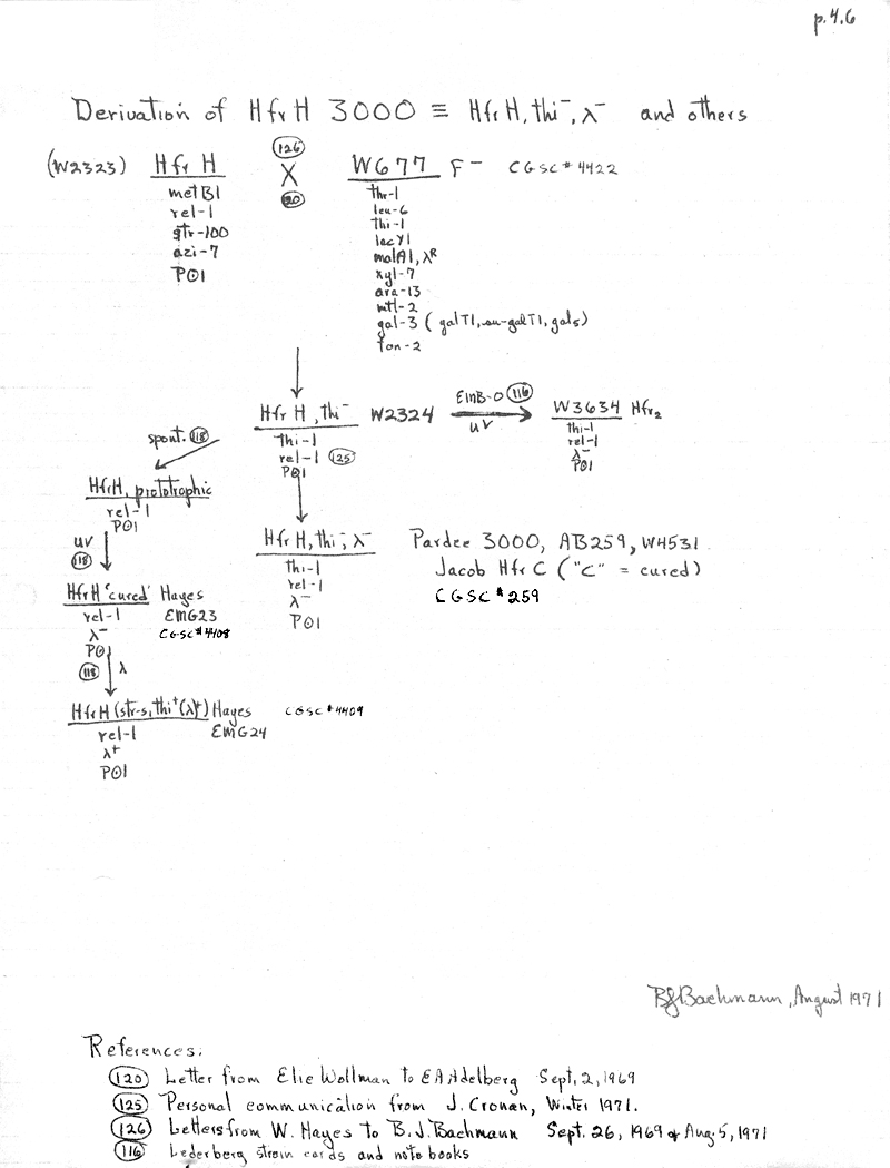 X10 BJBachmann Reconstruction p4.6